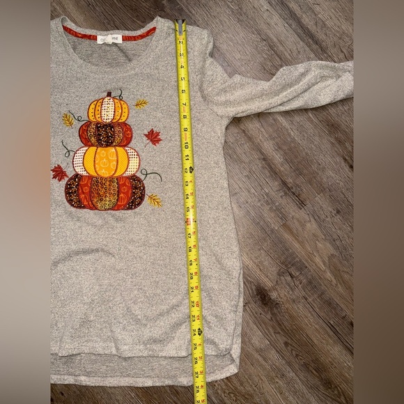 Clover + Pine • Fall Pumpkin Appliqué 3/4 Sleeve Sweater - Picture 4 of 8